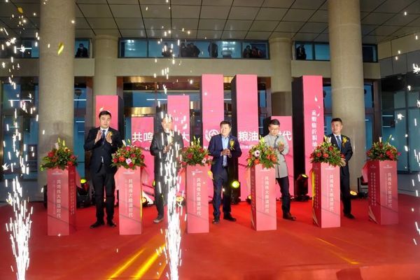 國際智慧糧油商貿城招商營銷中