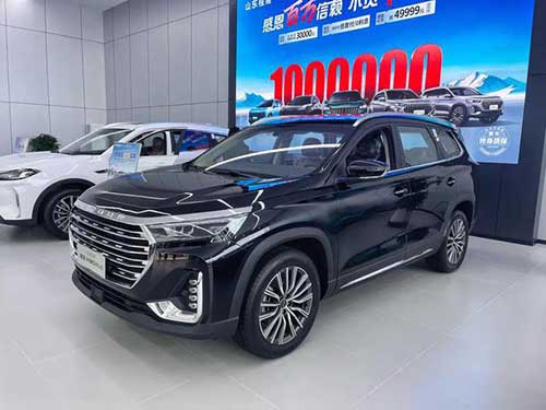 奇瑞捷途、星途雙店試營(yíng)業(yè)12.jpg